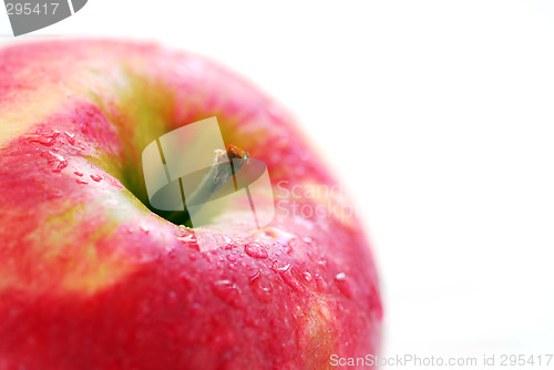 Image of Red apple