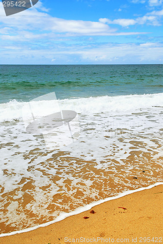 Image of Ocean wave