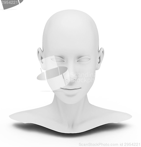 Image of the head