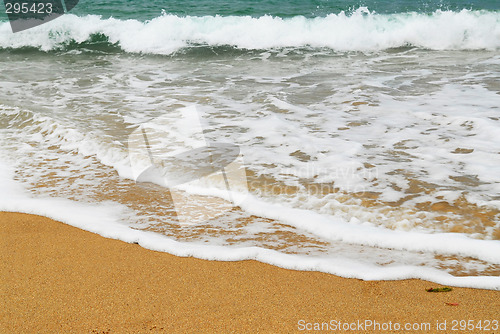 Image of Ocean wave