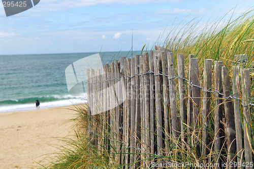 Image of Beach fence