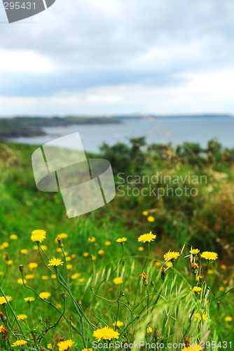 Image of Atlantic coastline in Brittany, France