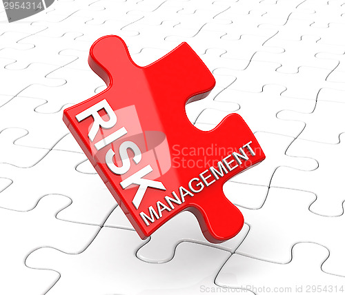 Image of risk management