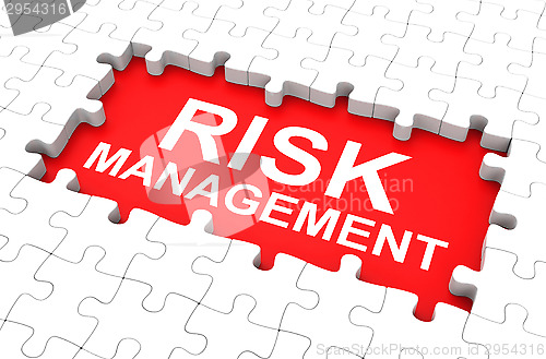 Image of risk management