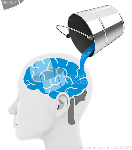 Image of the learning concept