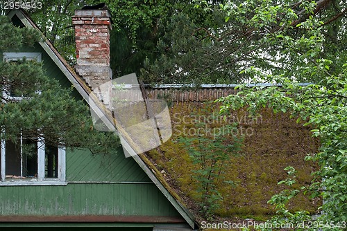 Image of The moss on the roof.