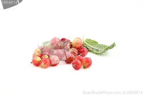 Image of Gooseberry