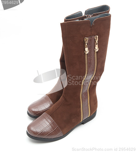 Image of brown female boots 