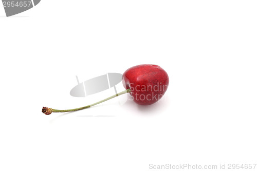 Image of cherry