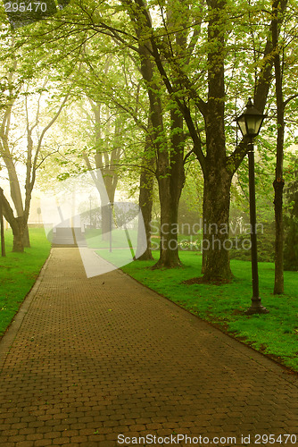 Image of Foggy park