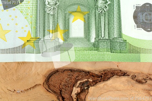 Image of Close up macro detail of euro money banknotes
