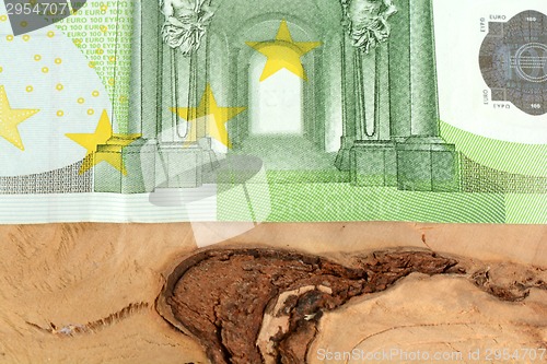 Image of Close up macro detail of euro money banknotes