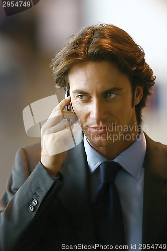 Image of Handsome businessman talking on mobile phone