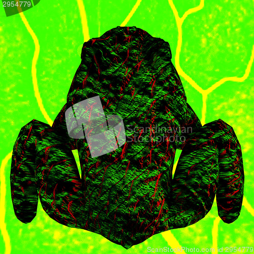 Image of The Frog