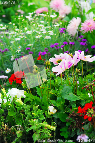 Image of Versailles gardens