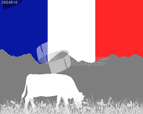 Image of Cow alp and french flag