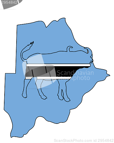 Image of Botswana buffalo 