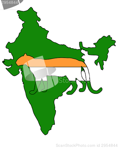 Image of India leopard