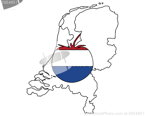 Image of Dutch tomato