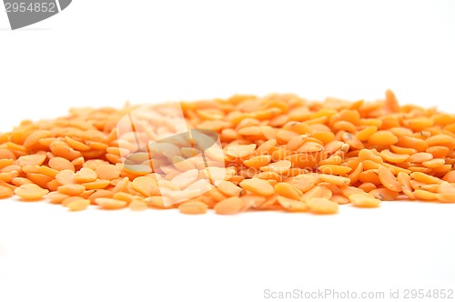 Image of Lentils on white