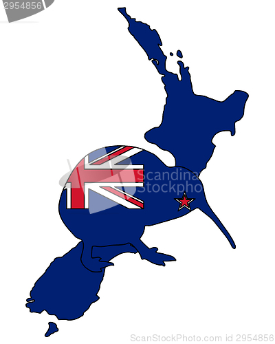 Image of Kiwi of New Zealand