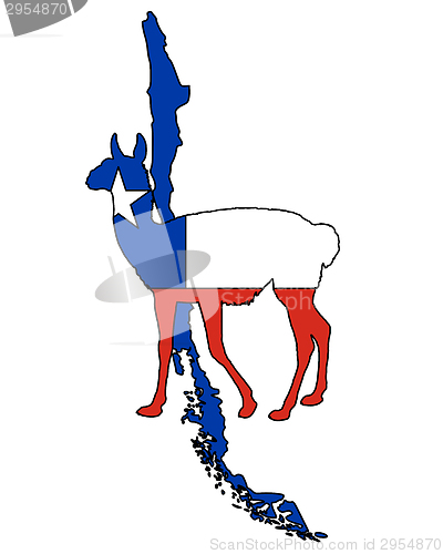 Image of Guanaco Chile