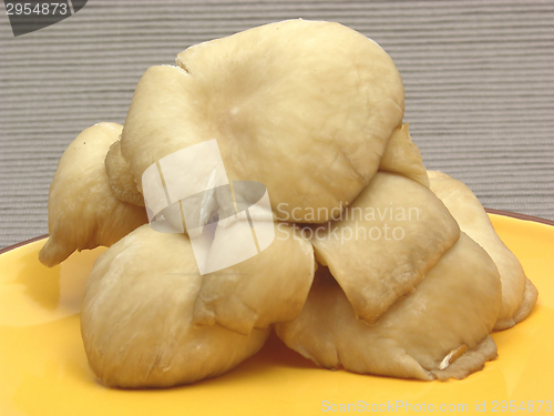 Image of Oyster mushrooms on ceramic plate on gray