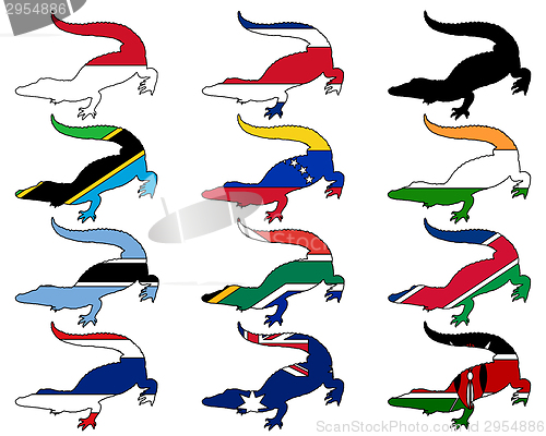 Image of Crocodile flags