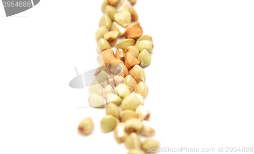 Image of Detailed but simple image of buckwheat on white