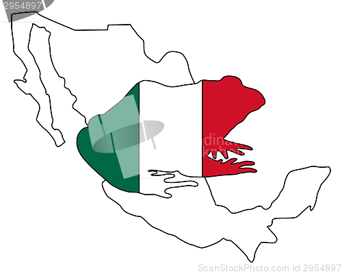 Image of Bullfrog Mexico