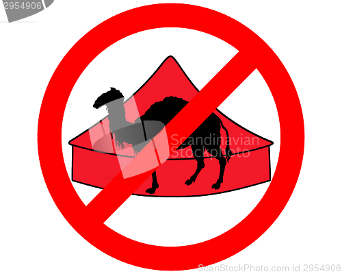 Image of Camel in circus prohibited