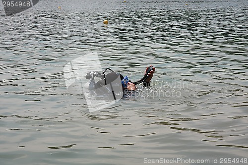 Image of Diver