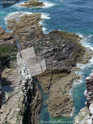 Image of rocky coast detail