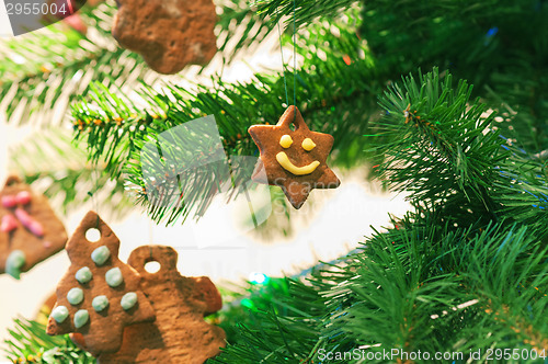 Image of Gingerbread cookies on christmas tree