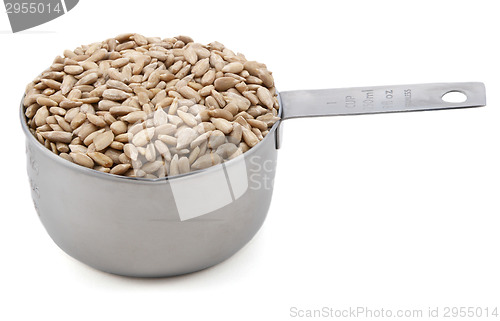 Image of Hulled sunflower seeds in a cup measure