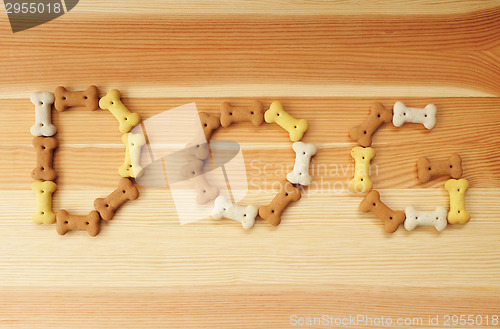 Image of The word DOG spelled out in dried dog food