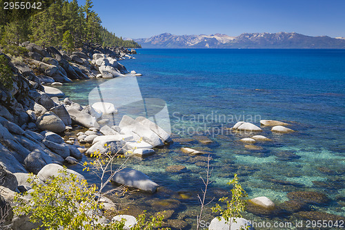 Image of Beautiful Shoreline of Lake Tahoe