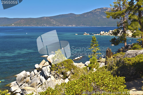 Image of Beautiful Shoreline of Lake Tahoe