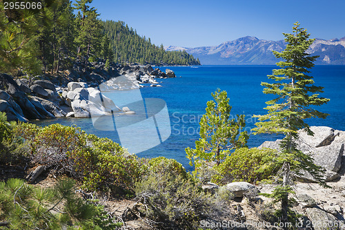 Image of Beautiful Shoreline of Lake Tahoe