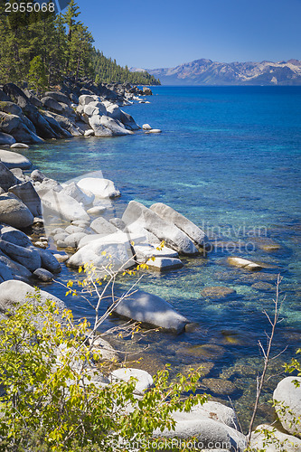 Image of Beautiful Shoreline of Lake Tahoe