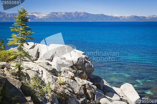 Image of Beautiful Shoreline of Lake Tahoe