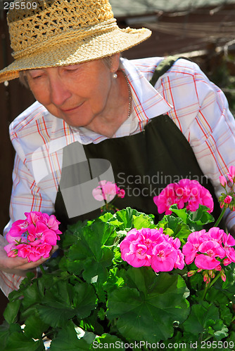 Image of Senior woman gardening