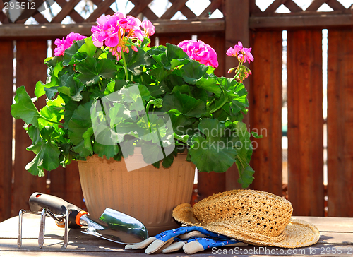 Image of Gardening tools