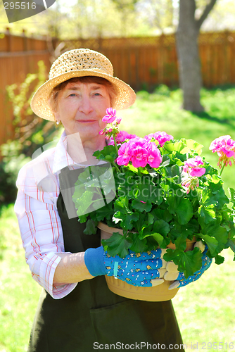 Image of Retired gardener