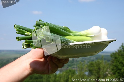 Image of Spring onion
