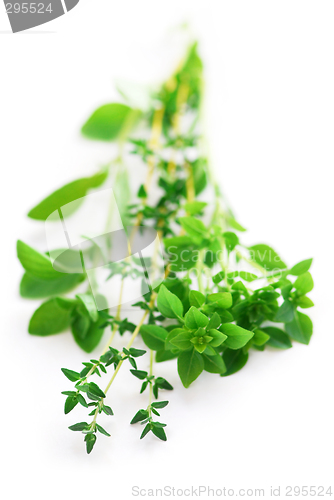 Image of Assorted herbs