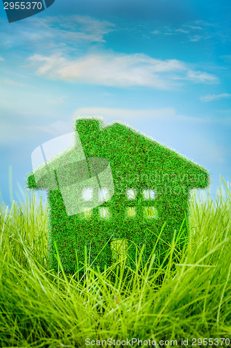 Image of House on the green grass