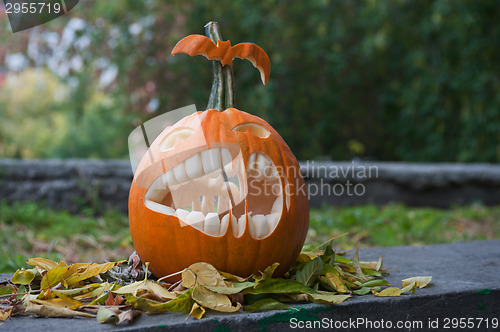 Image of Halloween pumpkin