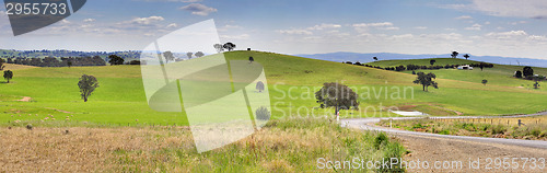 Image of Hills of Mandurama Landscape