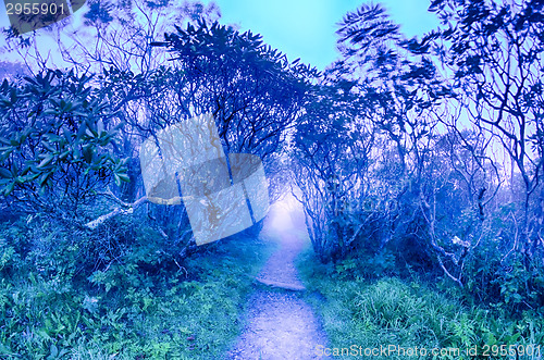 Image of Craggy Gardens North Carolina Blue Ridge Parkway Autumn NC sceni